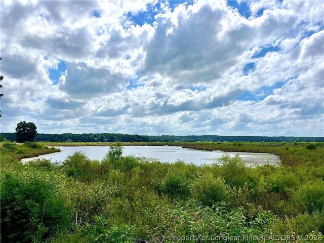 732 Riverbirch Drive, Vass, NC 28394