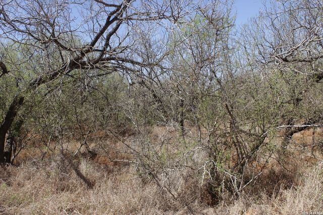 200 Rogers Ranch Road, Big Wells, TX 78830