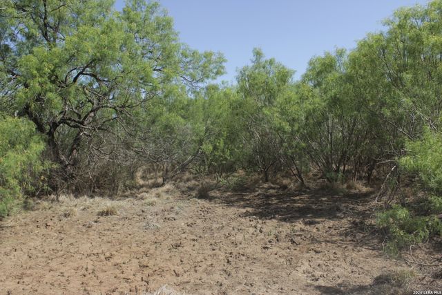 200 Rogers Ranch Road, Big Wells, TX 78830