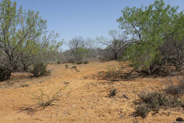 200 Rogers Ranch Road, Big Wells, TX 78830