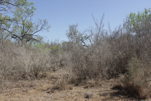 200 Rogers Ranch Road, Big Wells, TX 78830