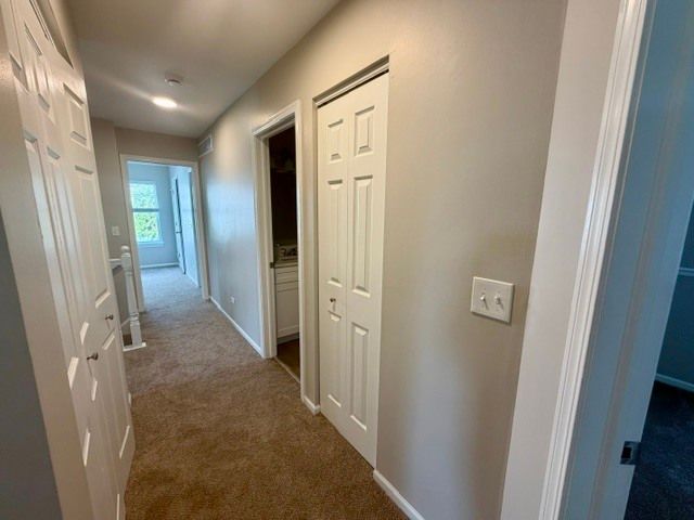 2812 Crested Butte Trail, Plainfield, IL 60586