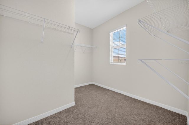 17048 OVAL RUM DRIVE, Wimauma, FL 33598