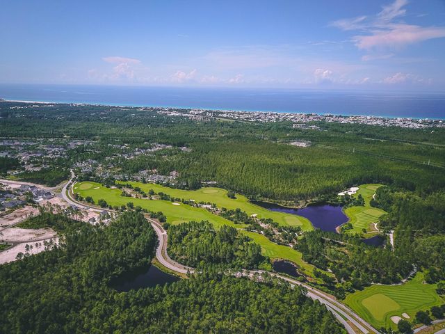 467 Pollard Cove East Street Lot 106, Watersound, FL 32461