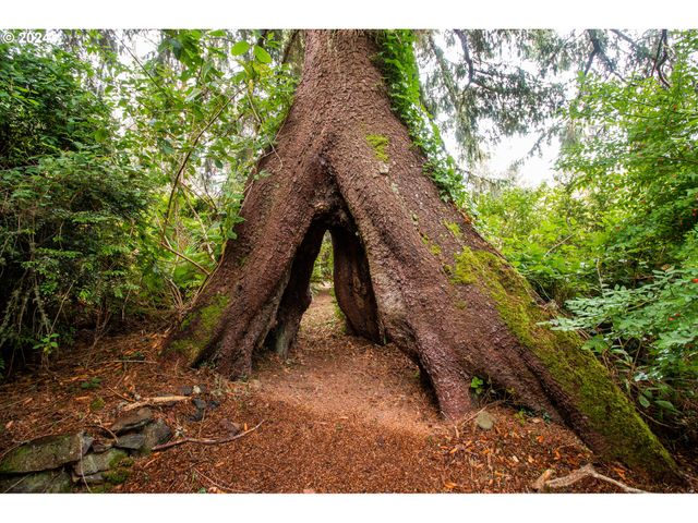 46615 HIGHWAY 101, Neskowin, OR 97149