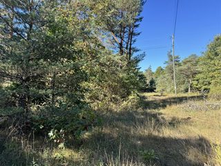 V/L S Tall Pine Trail, Newaygo, MI 49337