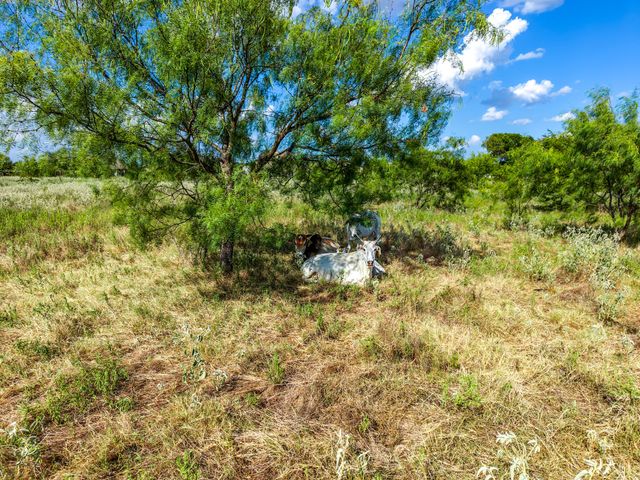 7348 N State Highway 34, Oak Ridge, TX 75161