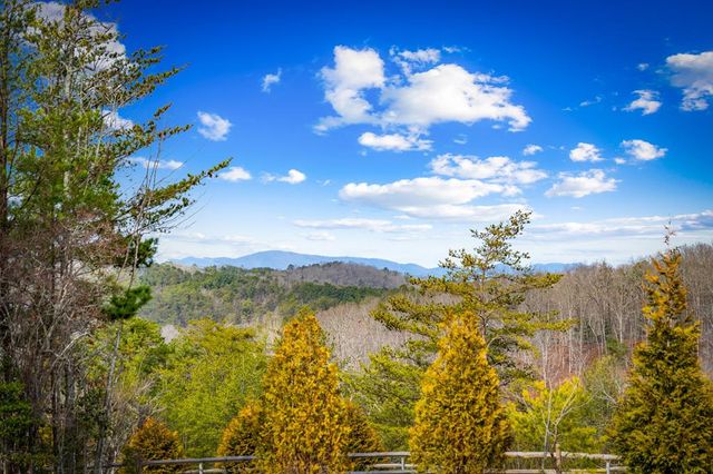 360 Hope Drive, Blue Ridge, GA 30513