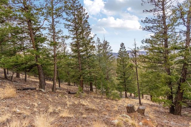 000 Upper Moss Rock Road, Golden, CO 80401