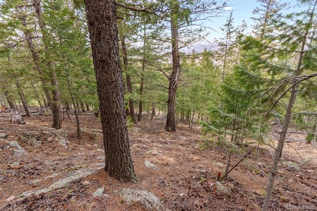 000 Upper Moss Rock Road, Golden, CO 80401