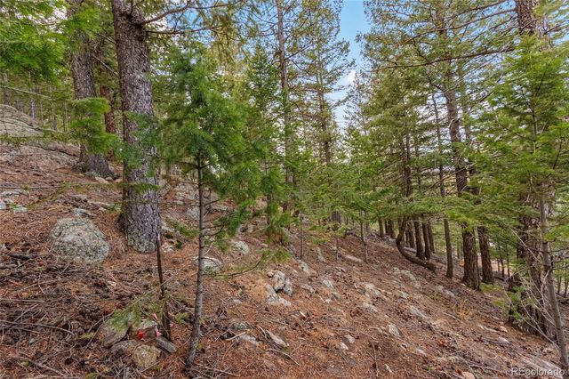 000 Upper Moss Rock Road, Golden, CO 80401