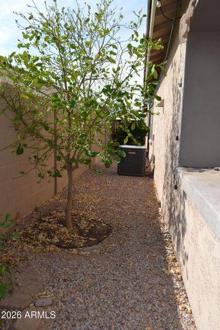 9644 E THATCHER Avenue, Mesa, AZ 85212