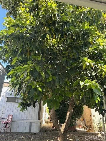 42751 E. Florida Avenue 163, Hemet, CA 92544