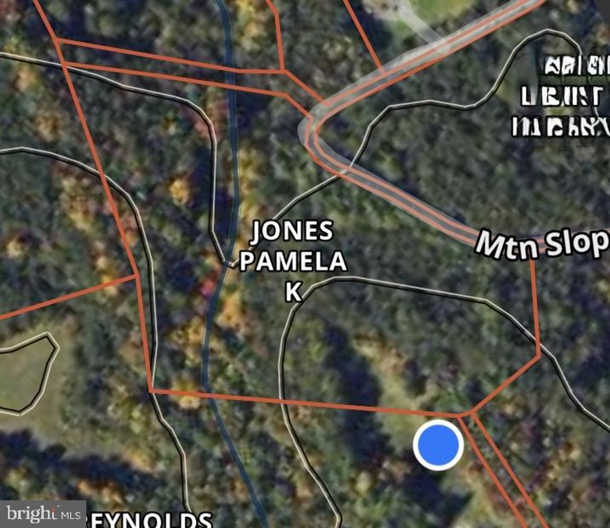 003 MOUNTAIN SLOPE LANE, Fort Valley, VA 22652