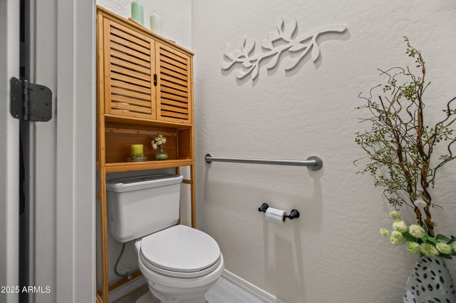 42774 W DARTER Drive, Maricopa, AZ 85138