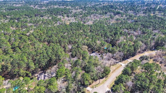 1828 Country Creek Court, Magnolia, TX 77354
