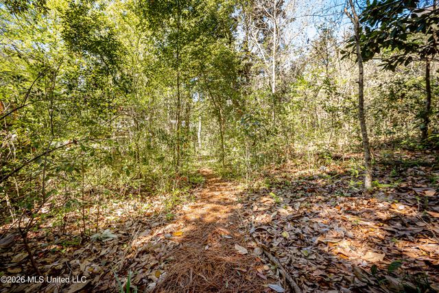 1103 Le Voyageur Drive, Ocean Springs, MS 39564