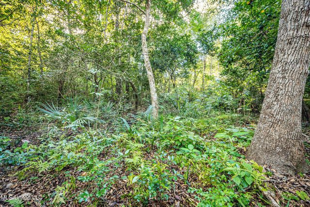 1103 Le Voyageur Drive, Ocean Springs, MS 39564