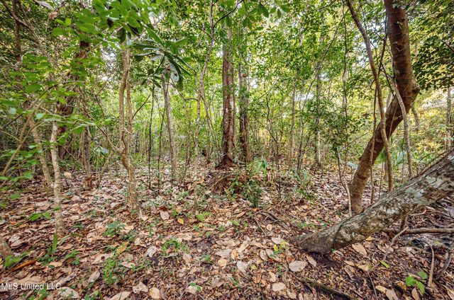 1103 Le Voyageur Drive, Ocean Springs, MS 39564