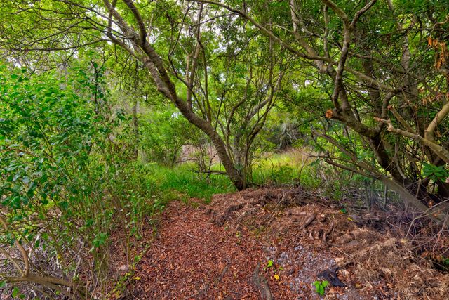 67 Oyster Point Row, Charleston, SC 29412
