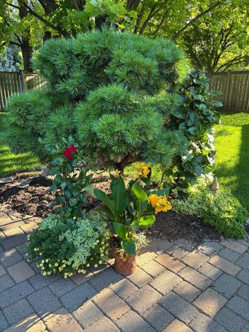 5001 Kelsey Terrace, Edina, MN 55436