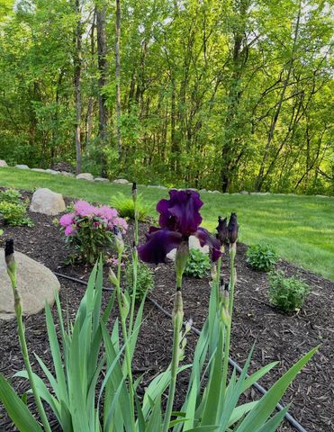 23400 Woodland Ridge Drive, Lakeville, MN 55044