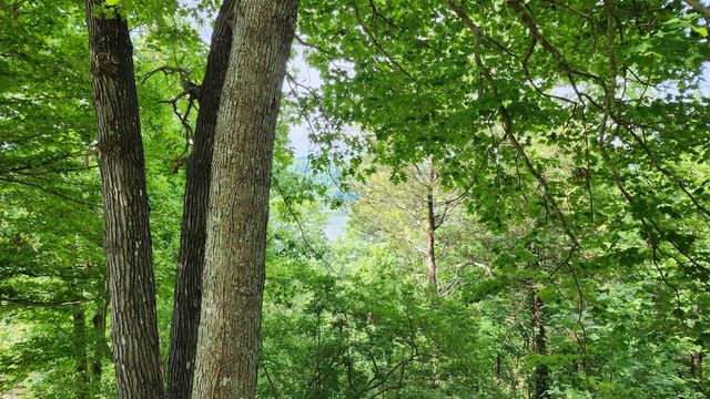 55 Lakeview Drive, Albany, KY 42602