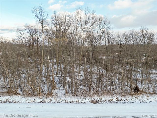 0000 Corunna Rd, Clayton Charter Township, MI 48473