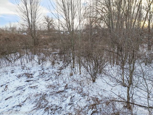 0000 Corunna Rd, Clayton Charter Township, MI 48473