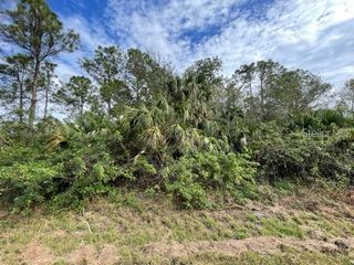 305 WILDWOOD DRIVE, Lake Placid, FL 33852
