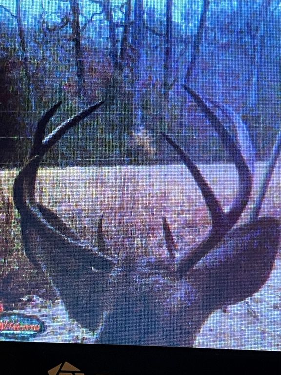 TBD County Road 482, Normangee, TX 77871 — photo 3
