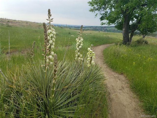 1547 Secrest Court, Golden, CO 80401