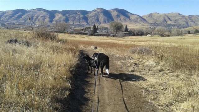 1547 Secrest Court, Golden, CO 80401