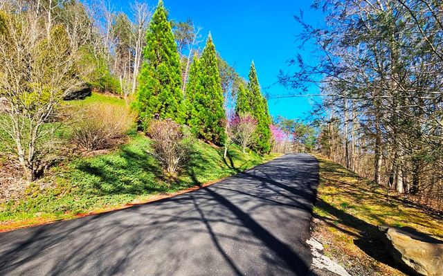 Lot 67 Wilderness Creek Way, Murphy, NC 28906