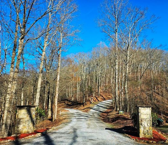 Lot 67 Wilderness Creek Way, Murphy, NC 28906