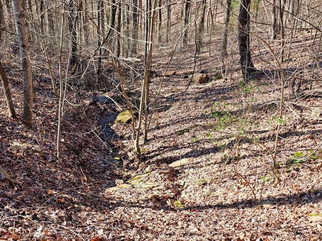 Lot 67 Wilderness Creek Way, Murphy, NC 28906