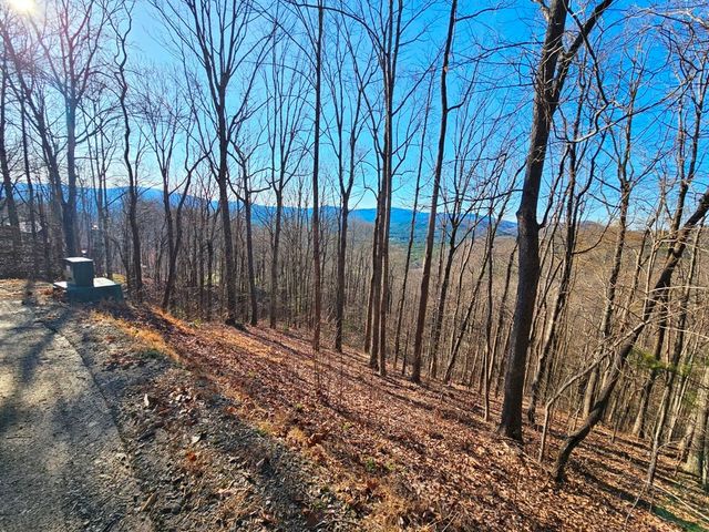 Lot 67 Wilderness Creek Way, Murphy, NC 28906