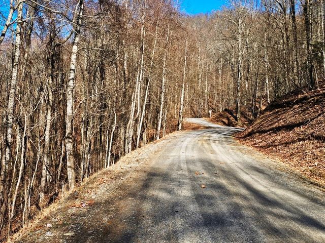 Lot 67 Wilderness Creek Way, Murphy, NC 28906