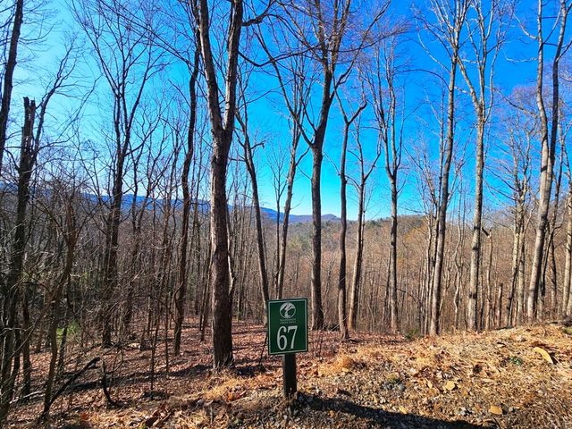 Lot 67 Wilderness Creek Way, Murphy, NC 28906
