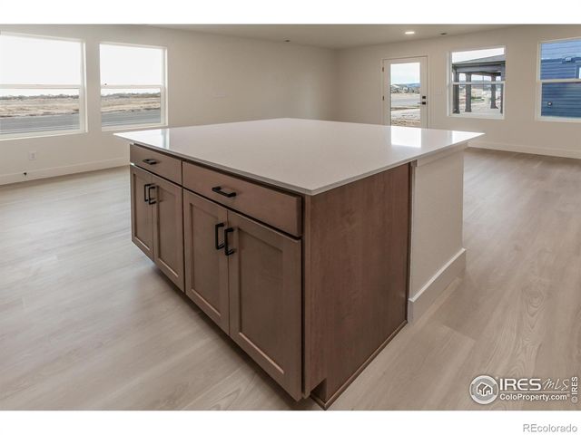 981 Trumpet Lane, Windsor, CO 80550