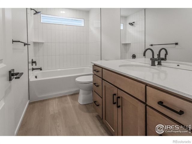 981 Trumpet Lane, Windsor, CO 80550