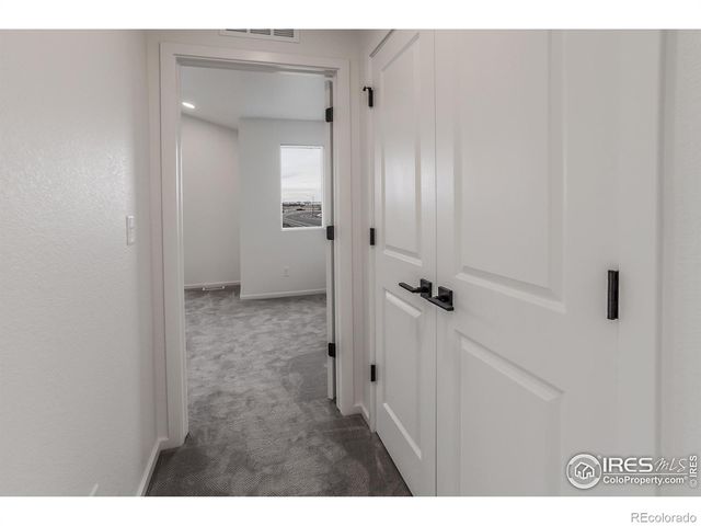 981 Trumpet Lane, Windsor, CO 80550