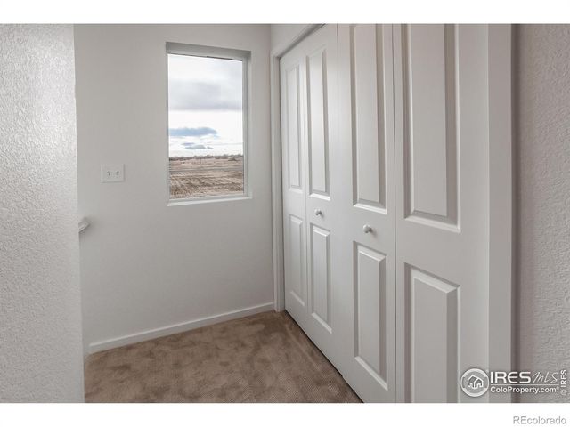 981 Trumpet Lane, Windsor, CO 80550