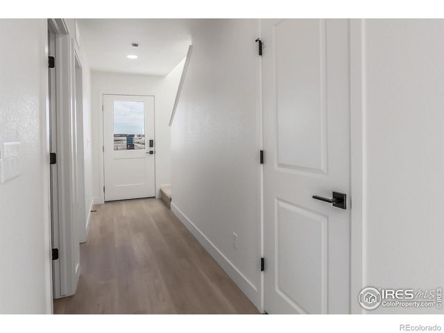 981 Trumpet Lane, Windsor, CO 80550