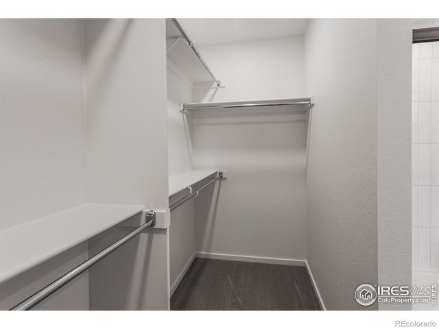 981 Trumpet Lane, Windsor, CO 80550