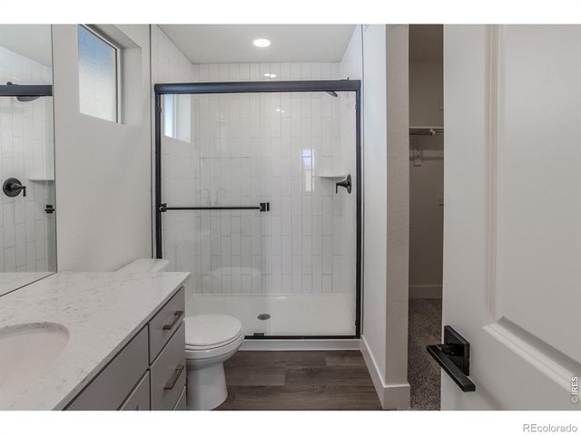 981 Trumpet Lane, Windsor, CO 80550