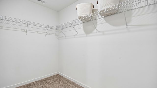 2828 Savana Drive, Joliet, IL 60435