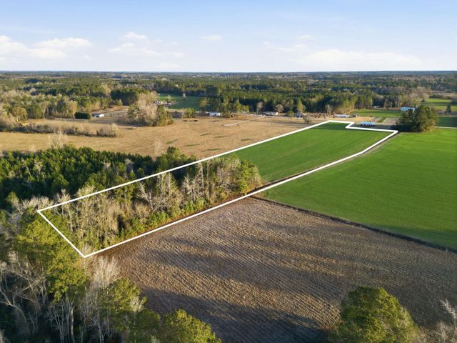 Tract 2 Fries Bay Rd., Loris, SC 29569