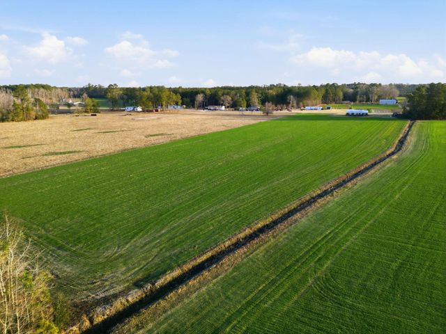 Tract 2 Fries Bay Rd., Loris, SC 29569