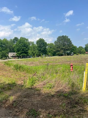 001 Dripping Springs Landing, Pangburn, AR 72121
